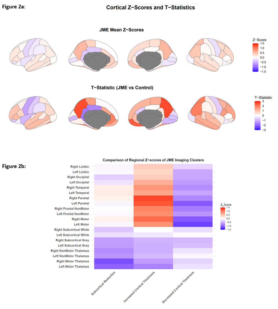 Endophenotypes imaging endophenotypes in jmecp: cortical and subcortial heterogeneity ...